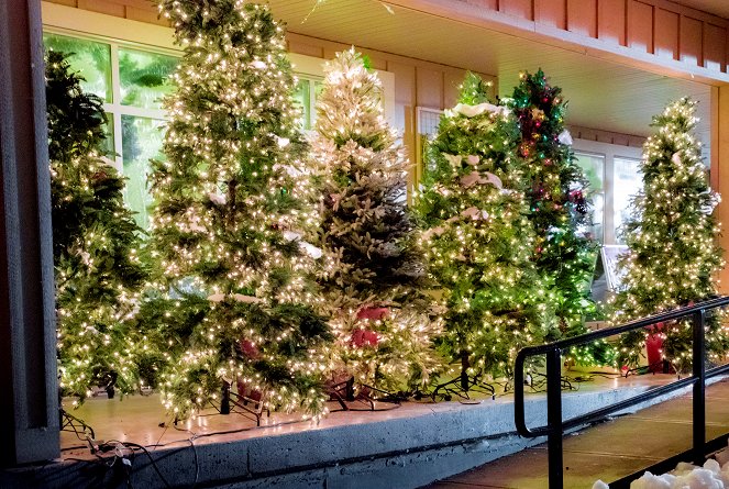 Weihnachten im Bramble Haus - Dreharbeiten