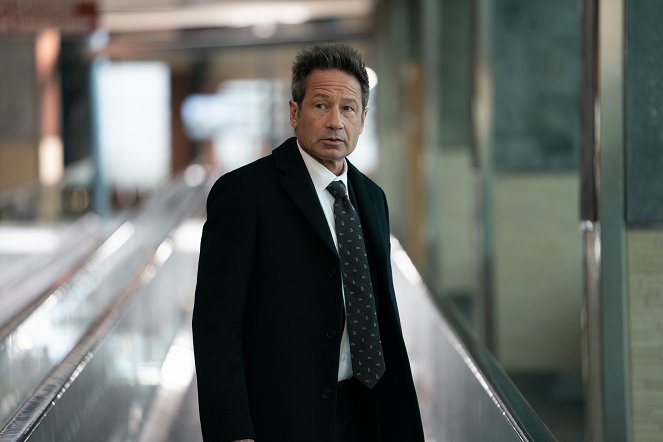 What Happens Later - Photos - David Duchovny