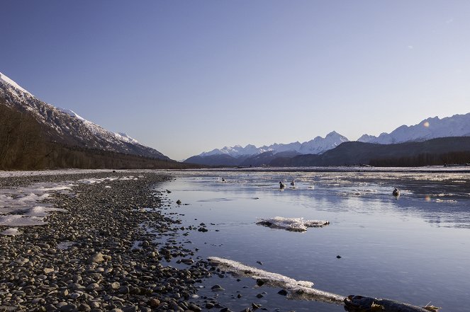 Eden: Untamed Planet - Alaska: Last American Frontier - Do filme