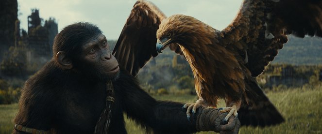 Królestwo planety małp - Z filmu
