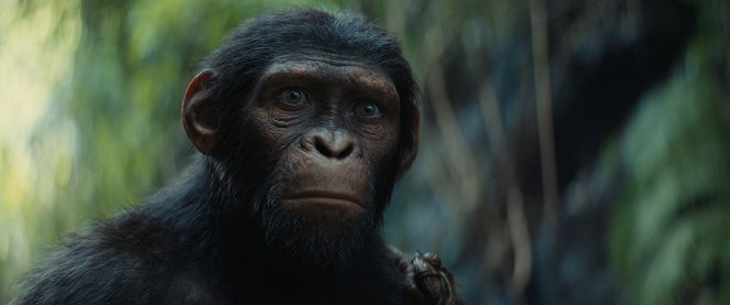 A majmok bolygója: A birodalom - Filmfotók