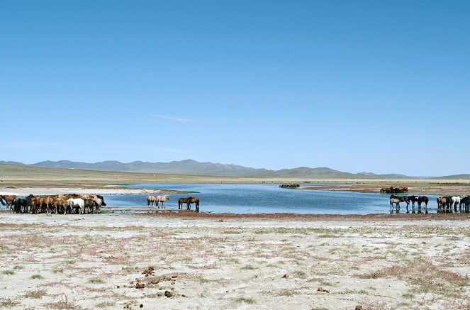 Schwarz Rot Gold - Schatzsuche in der Mongolei - Photos