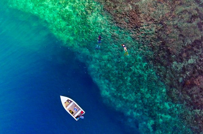 Des poissons pas si cons ? - Filmfotók