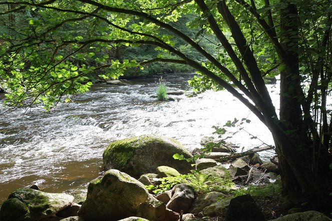 Abenteuer Wildnis: Die schwarze Perle des Bayerischen Waldes - Eine Reise zur Quelle der Ilz ... damals und heute - Do filme