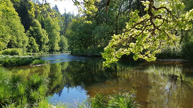 Abenteuer Wildnis: Die schwarze Perle des Bayerischen Waldes - Eine Reise zur Quelle der Ilz ... damals und heute - Photos