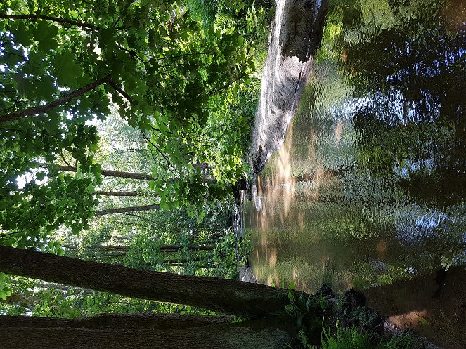 Abenteuer Wildnis: Die schwarze Perle des Bayerischen Waldes - Eine Reise zur Quelle der Ilz ... damals und heute - Filmfotos