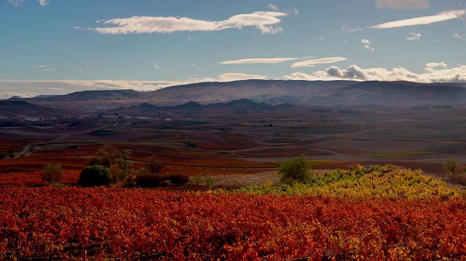 Rioja, la tierra de los mil vinos - De la película