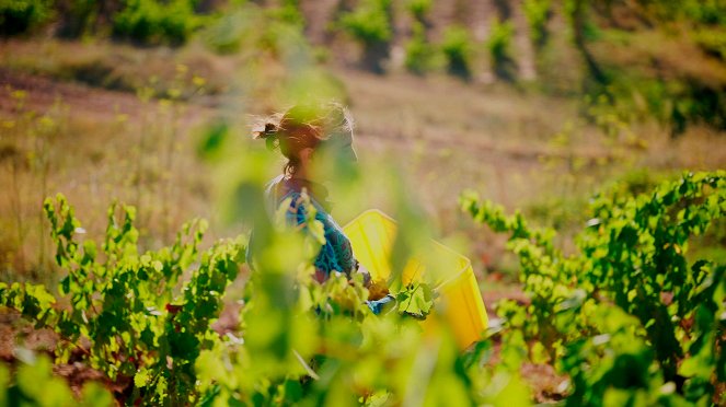 Rioja, la tierra de los mil vinos - Kuvat elokuvasta