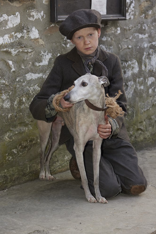 All Creatures Great and Small - Season 4 - Promo - Billy Hickey