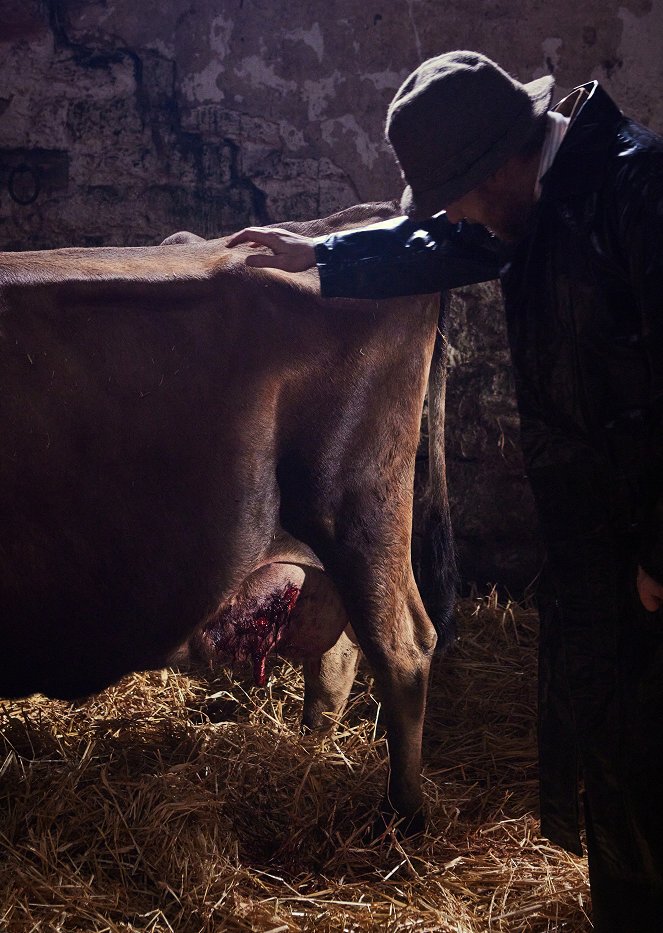 Der Doktor und das liebe Vieh - Episode 2 - Filmfotos - Samuel West