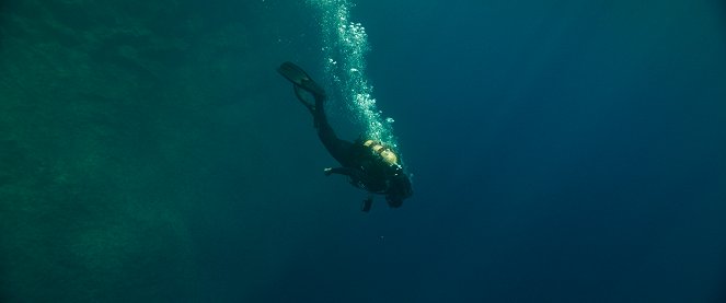 The Dive - Filmfotos
