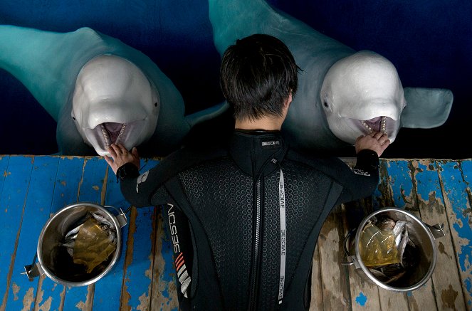 John Bishop’s Great Whale Rescue - Photos