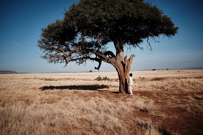 Terra X: Faszination Erde - Wildes Kenia - Filmfotók