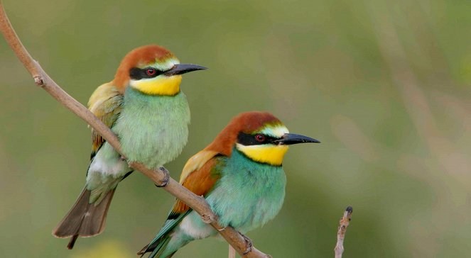 Abenteuer Wildnis: Der wilde Norden - Das Mindener Land - Photos