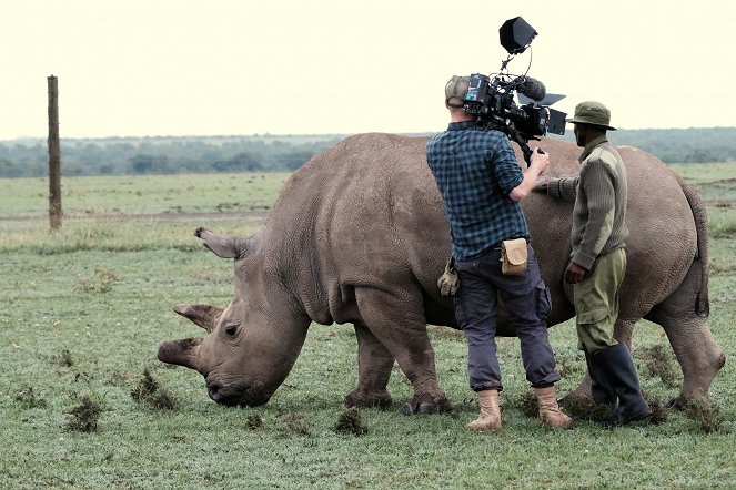 Poslední nosorožec - Dreharbeiten