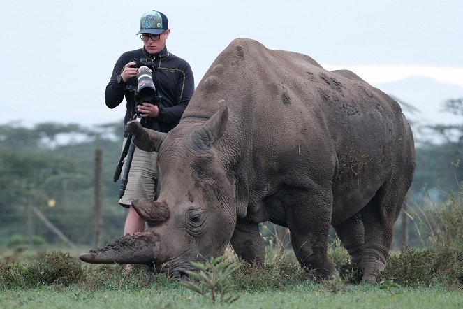 Poslední nosorožec - Z natáčení
