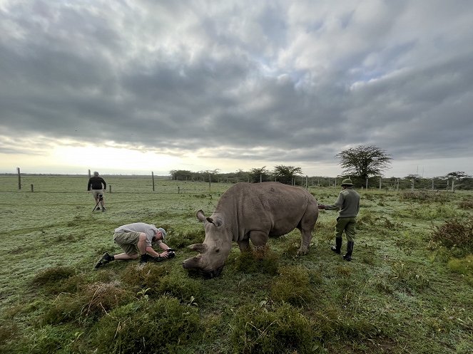 Poslední nosorožec - Forgatási fotók