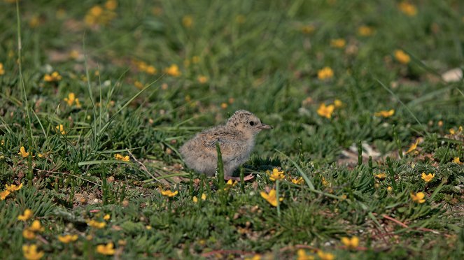 Onze Natuur - Kuvat elokuvasta