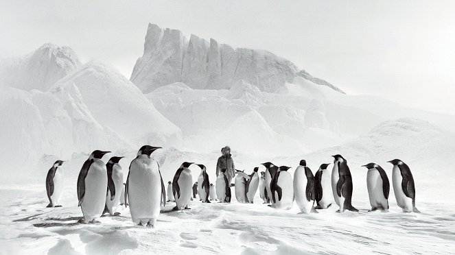 Voyage au pôle sud - Van film