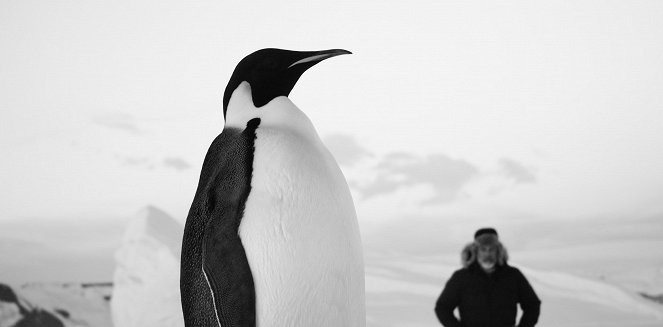 Voyage au pôle sud - Van film
