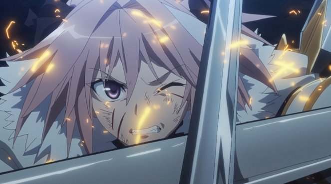 Fate/Apocrypha - Like Scattered Petals - Photos