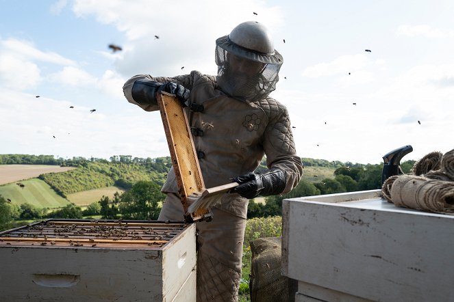 Beekeeper, el protector - De la película