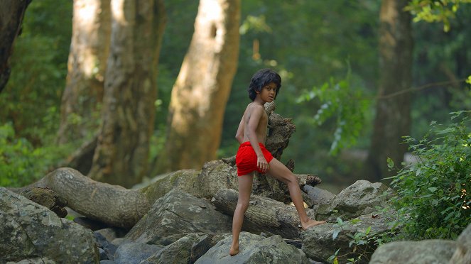 Universum: Das wahre Dschungelbuch - Filmfotók