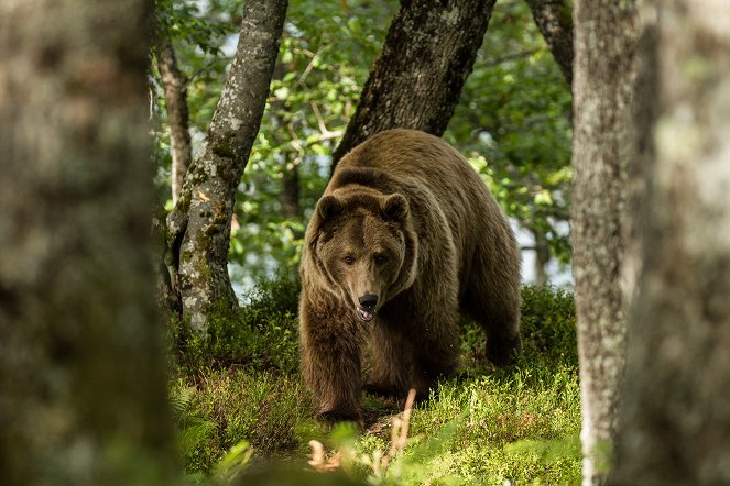 A szentély: történetek az Alpok túléléséről - Filmfotók