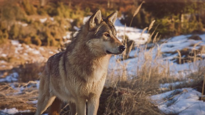 A szentély: történetek az Alpok túléléséről - Filmfotók