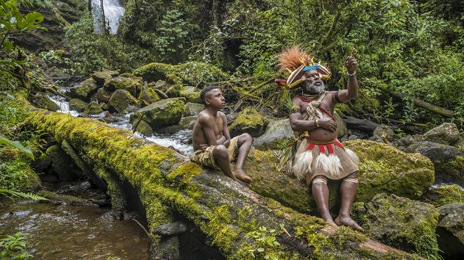 Les Gardiens de la forêt - Papouasie-Nouvelle-Guinée - Le temps des solutions  - Van film