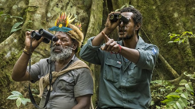 Les Gardiens de la forêt - Papouasie-Nouvelle-Guinée - Le temps des solutions  - Van film