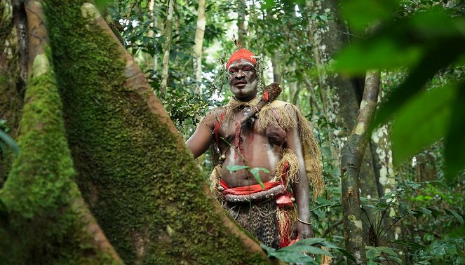 Les Gardiens de la forêt - Gabon – La forêt qui soigne  - De la película