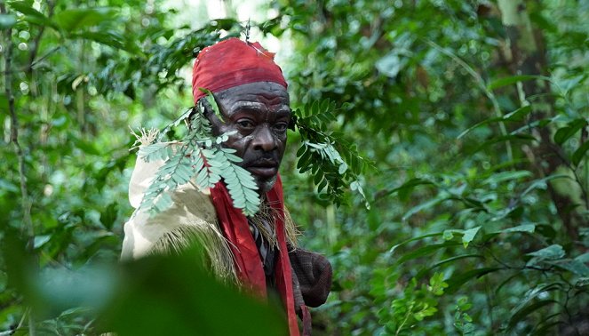 Les Gardiens de la forêt - Gabon – La forêt qui soigne  - Z filmu