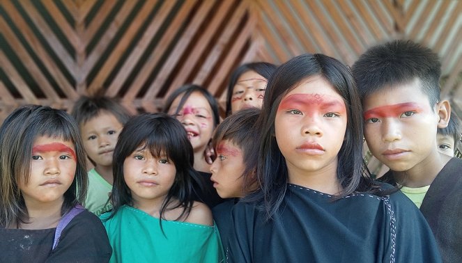Les Gardiens de la forêt - Brésil – Replanter l’Amazonie  - Kuvat elokuvasta