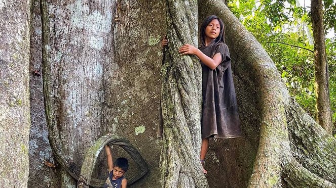 Les Gardiens de la forêt - Brésil – Replanter l’Amazonie  - Z filmu