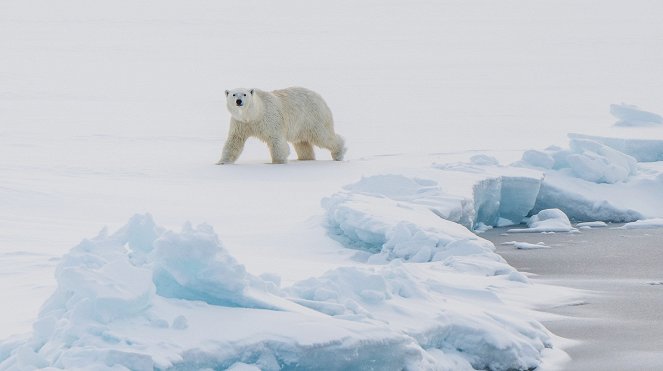 Expedition Arktis 2 - Tauchfahrt am Nordpol - Filmfotos