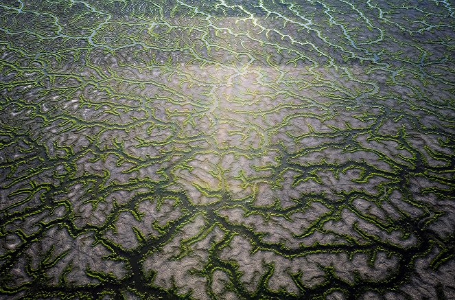 Australia's Wild Odyssey - Photos