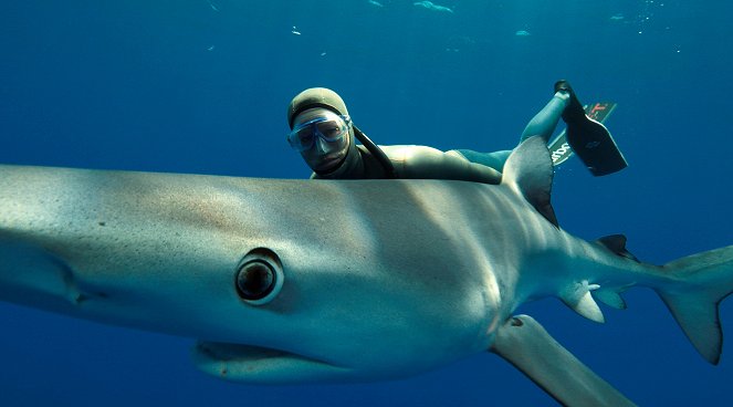 Waterwoman - Hautnah bei den Haien der Azoren - Van film