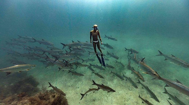 Waterwoman - Hautnah bei den Haien der Azoren - Kuvat elokuvasta