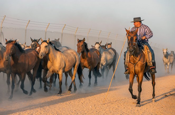 Die wilden Pferde der Doñana - Filmfotók
