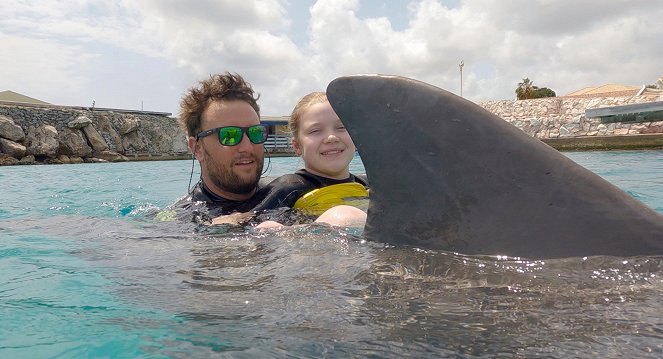 360 - Curacao, Therapeutic Dolphins - Photos