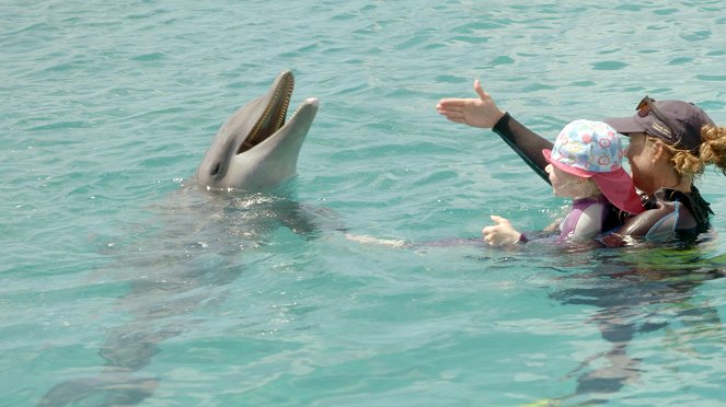 Curaçao, des dauphins thérapeutes - Z filmu