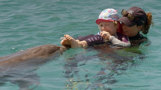 Curaçao: Die sanften Delfine - Filmfotos
