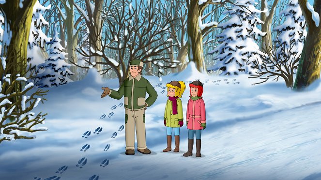 Bibi und Tina - Spuren im Schnee - Van film