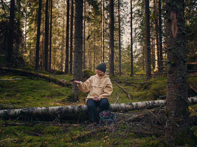 Havumetsän lapset - Filmfotos