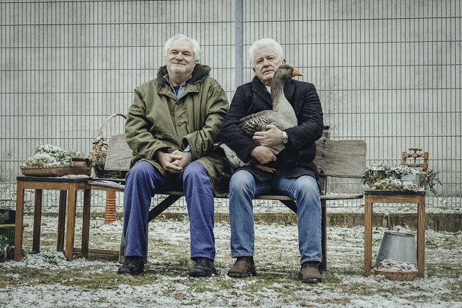 Tatort - Das Wunderkind - Photos