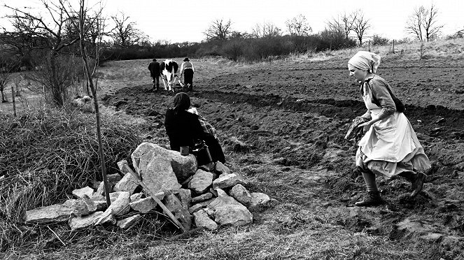 Krajina ve stínu - Van film