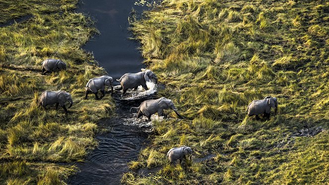 Okavango - Inselwelt - De filmes