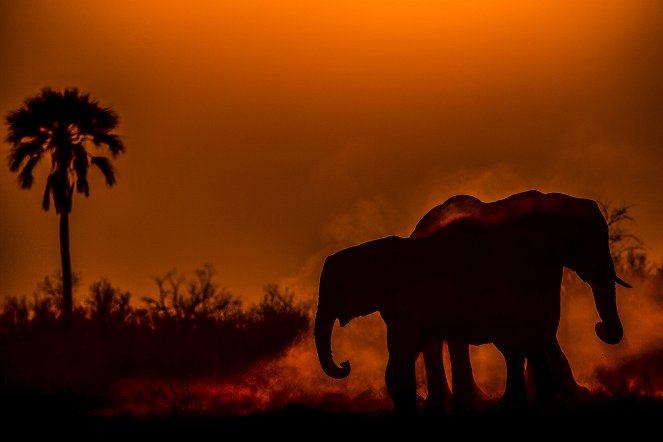 Okavango - Inselwelt - Filmfotos