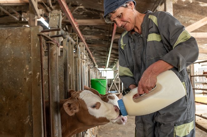 La Ferme des Bertrand - Photos